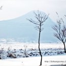 용궁해수탕 이미지