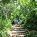 대가약수터 이미지