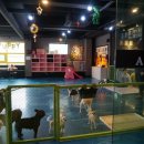 퍼피플레이스 이미지