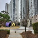 신미주(아) 이미지