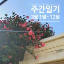 (주)헬로재펜 | 주간일기 _3월 첫째, 둘째주