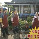 신식당 네이버블로그