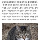 그사진관 이미지