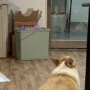 플랜컴퍼니 - 서초구 바우뫼로4길 10-8 | 플랜컴퍼니