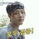 초코랩 네이버블로그