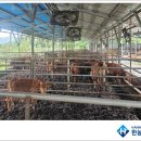 다한 태양광발전소 이미지