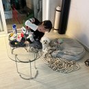 인생이 레이스라면 저는 잠깐 산책중입니다ㅋㅋ