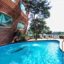 사이다펜션 이미지