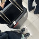 전원일기효돈점 | 25.11.15_제주 여행 1일차 - 카멜커피 제주점, 도도리 고기국수, 인디언썸머