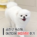 해피댕댕 이미지