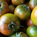 유기농!!! 백화점 납품 대저짭짤이 토마토 5KG 판매종료 이미지