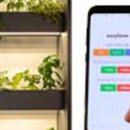 이지팜(easy farm) 네이버블로그