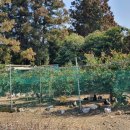 재희농장 이미지