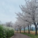 영숙농장 이미지