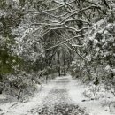 해마지 휴양펜션 이미지