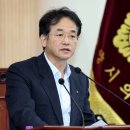 고양이당 이미지