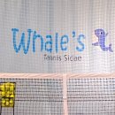 소정테니스장 이미지