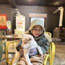 새별농장 이미지