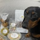 멍냥디저트 이미지