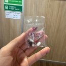 아리랑노래방 | 2박 3일 울릉도-독도 여행(3편)- 독도 입도 성공!★ 아리랑김밥, 울릉냉삼1987, 나리촌식당, 숲크닉커피