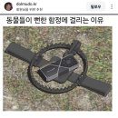 포차포차 네이버블로그