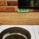 포항 한식뷔페 추천! [이뜨락]