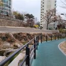 정릉천 제방 이미지