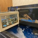 착한낙지(수성점) 이미지