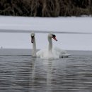 여주-1044 이미지