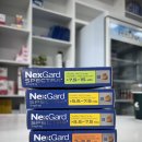 정동약국 이미지