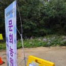 문희농장 | 문경 가족여행 개미취 꽃 축제 문희농원 아이랑 주차, 개화 상태