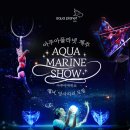 아쿠아플라넷 제주 | 제주도 아이와 가볼만한곳 '아쿠아플라넷 제주' 후기 (공연·입장료&amp;할인 정보)