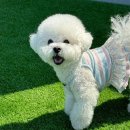 은실고가길 이미지