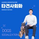 엘멍스 네이버블로그