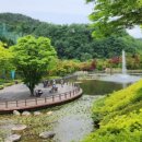 그랑셰프(콘도) 이미지