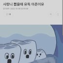 사랑니를부탁해치과 이미지