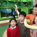 함평양서파충류생태공원 이미지