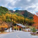 산림힐링재단 이미지