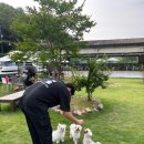 승민애견 이미지