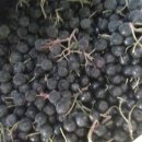 화진농장 이미지