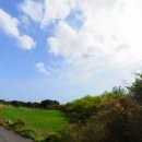 색달동-8 이미지