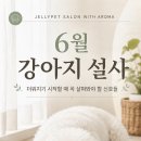 젤리펫살롱 with 아로마 네이버블로그