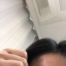 실안길314 | 덥고 습한 가을