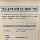 중앙판도라약국 이미지