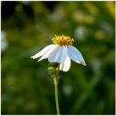 새삶스럽게 이미지