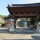 증평수도사 - 1371 | 증평수도사