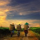 자연의향기 이미지