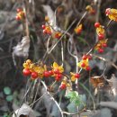 참솔농장 이미지