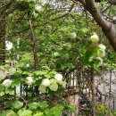 토브의 강가 이미지