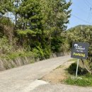 비마이아일랜드 이미지